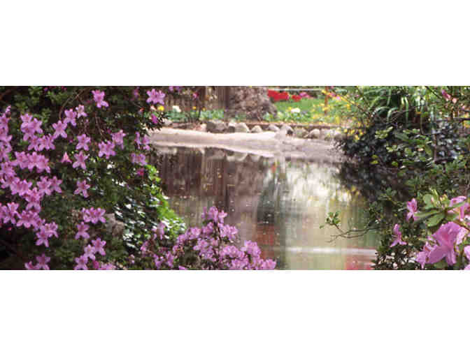 Four Daytime Passes to Descanso Gardens