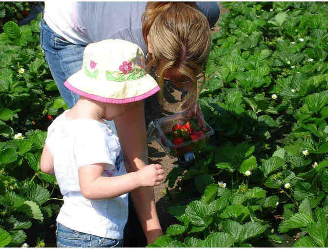 Family Season Pass to Underwood Family Farms in Moorpark, CA