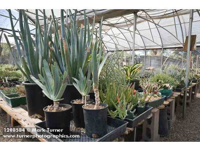 Plants for the Southwest - $50 Gift Certificate