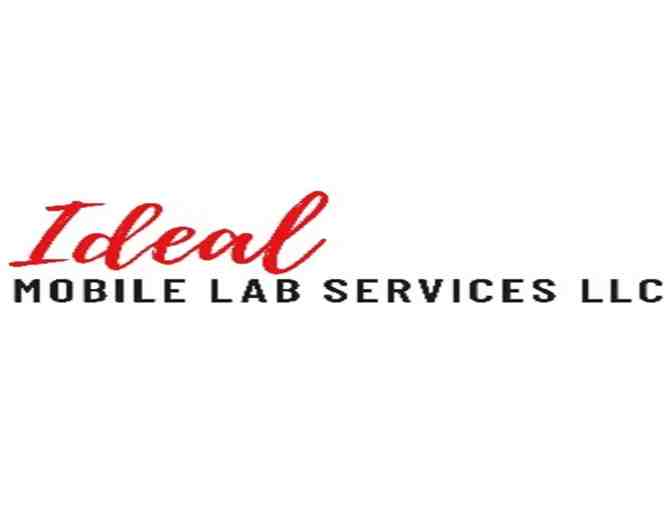One Mobile Blood Draw | Ideal Mobile Lab - Photo 1
