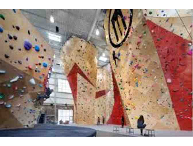 Brooklyn Boulders Learn the Ropes Course and 1 week membership