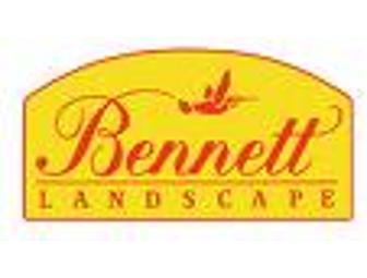 Bennett Landscape