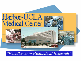 CT Scan at Harbor UCLA Medical
