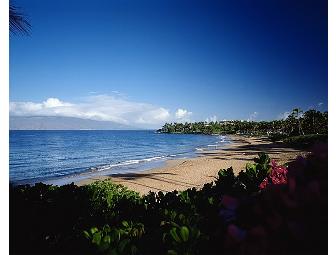 Aloha Maui!