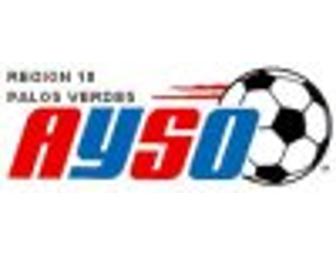 AYSO - 2010 Fall Season Registration