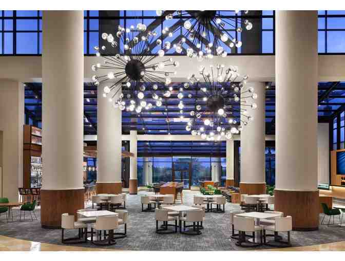 Taste the Magic - Orlando's Culinary Scene Awaits! - Photo 2
