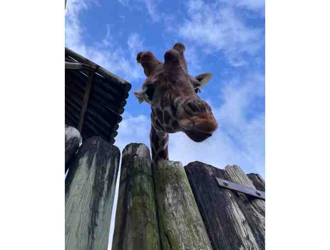 Montgomery Zoo: Behind the Scenes Tour for up to 10! What an adventure!