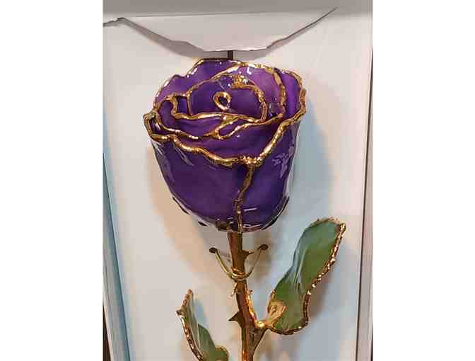 Eternity Rose -- Purple - Photo 1