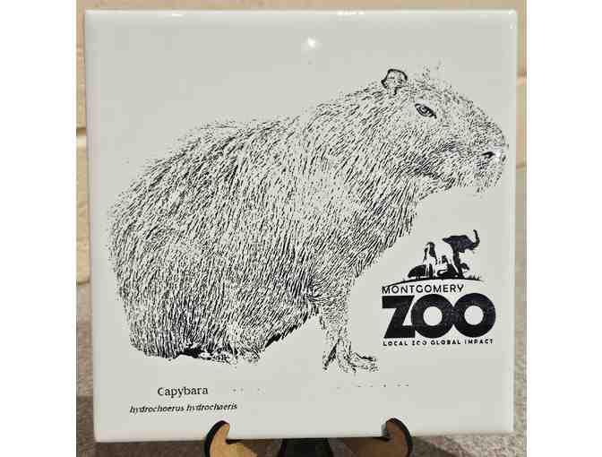 Capybara Etched Tile -- 6" x 6" - Photo 1