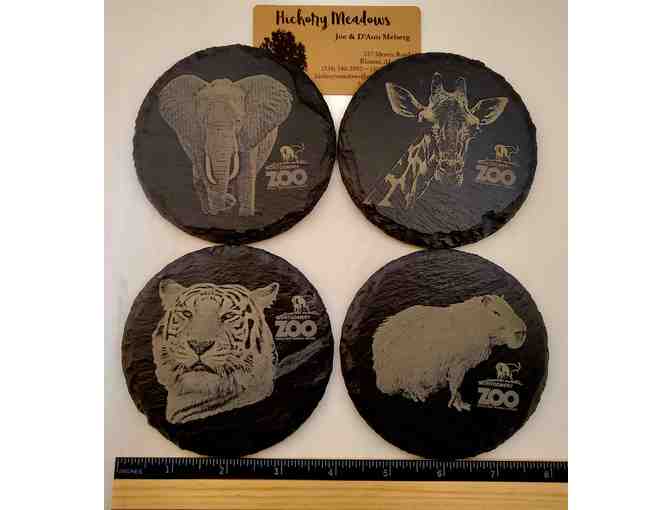 Coasters -- set of 4 -- Slate / etching features Montgomery Zoo animals! - Photo 1