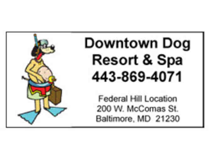 3 Day Luxury Vacation at The Downtown Dog Resort