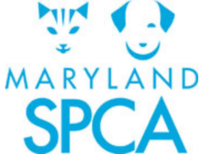 Kids Birthday Party at the Maryland SPCA