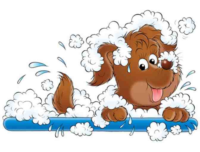 2 Full Groomings with Laura's Pet Service