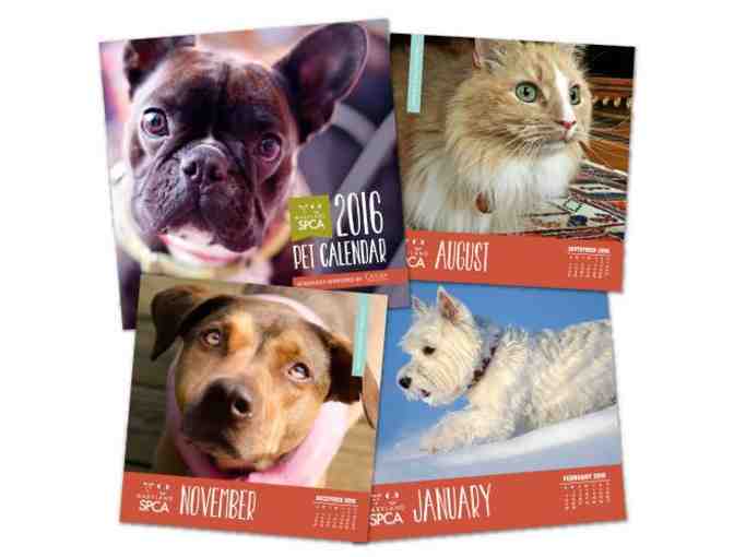 Feature a Photograph of your Pet in our 2017 Calendar!