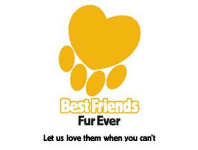 $50 Gift Certificate to Best Friends Fur Ever
