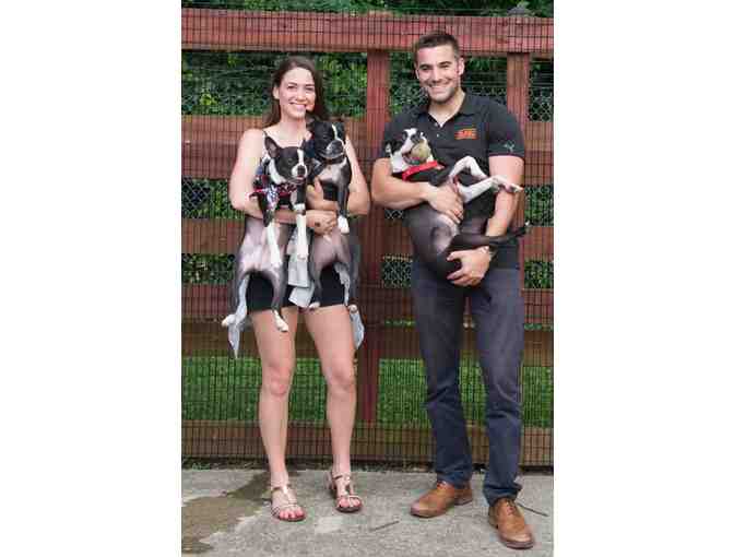 Pair of Tickets to MD SPCA Summer 2016 Wine & Wag Series