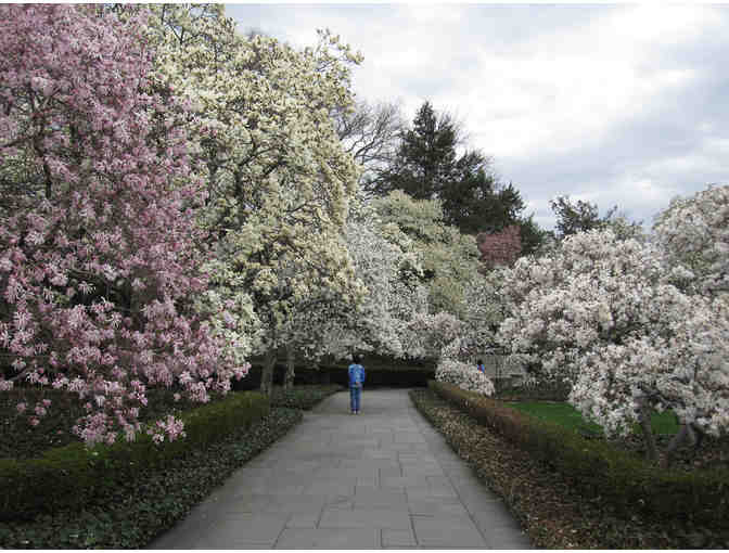 Brooklyn Botanic Garden - 2 Guest Passes