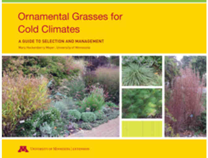 Ornamental Grasses for Cold Climates and the Best Plants for 30 Tough Sites