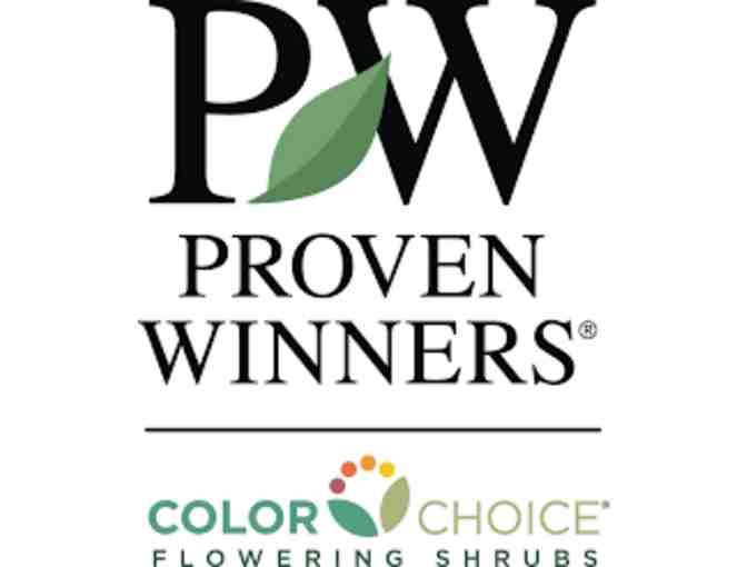 A Proven Winners Color Choice Swag Bag Stuffed with Goodies