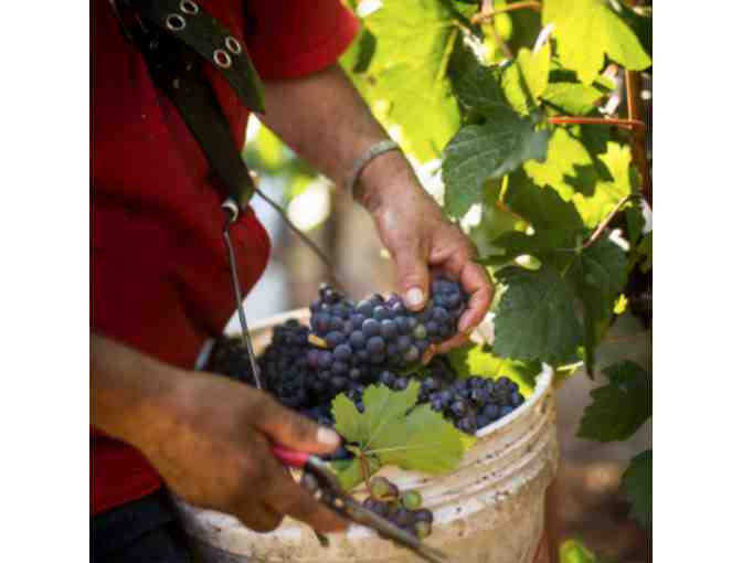 The Setting Inn, Willamette Valley