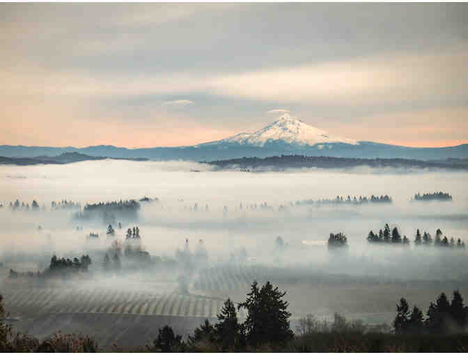 The Setting Inn, Willamette Valley