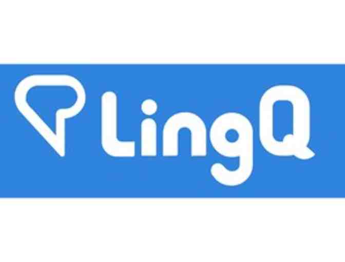 One Year of Online Language Lessons