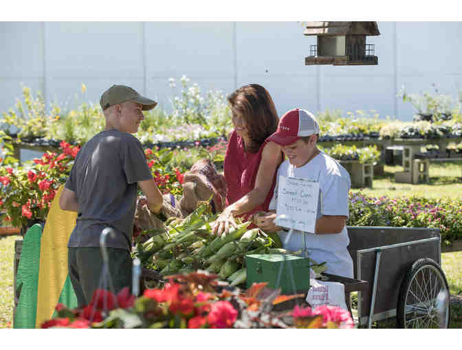 Stamp Farms $50 Gift Certificate