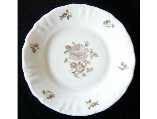 Vintage Schwarzenbach Winterling Bavarian China