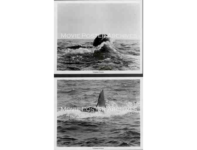 JAWS, 1975, movie stills, Group A, Roy Scheider, Richard Dreyfuss