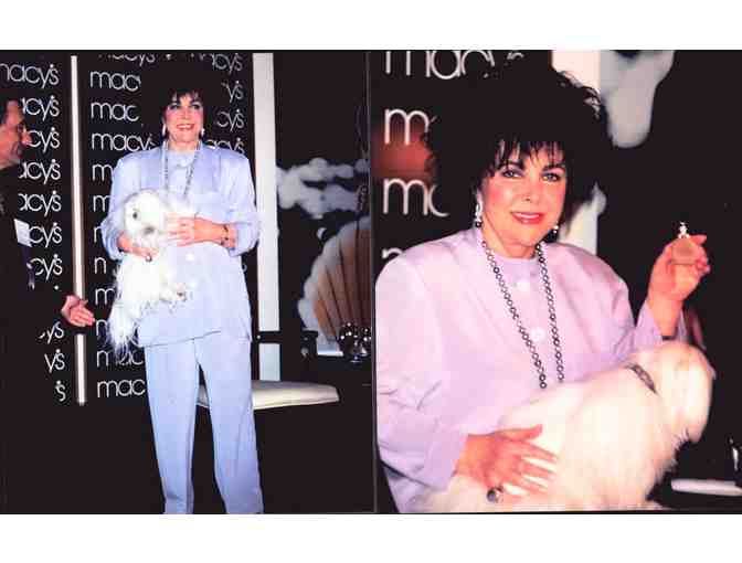 ELIZABETH TAYLOR, COLLECTORS LOT of portraits, stills or photos