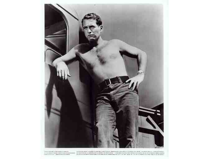 PAUL NEWMAN, group of classic celebrity portraits, stills or photos