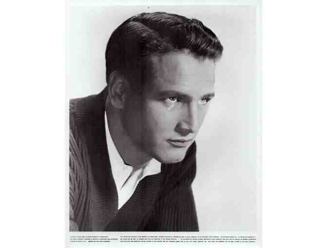 PAUL NEWMAN, group of classic celebrity portraits, stills or photos