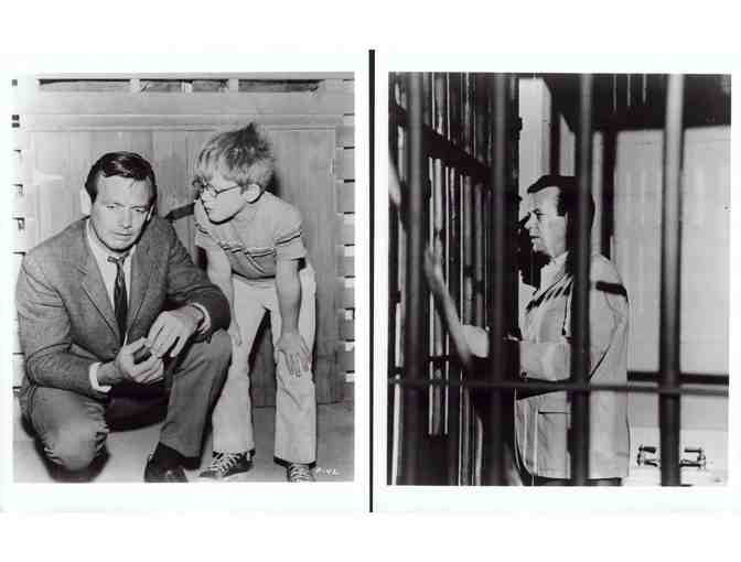FUGITIVE, tv, COLLECTORS LOT, photographs, David Janssen, William Conrad