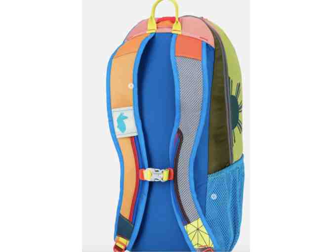 Cotopaxi Luzon 24L Backpack