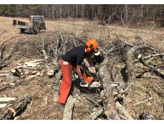 One Military Dump Truck Full of Firewood (2 of 2)