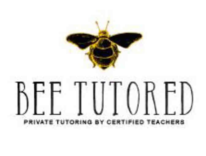 Bee Tutored 2021 SHSAT Summer Course