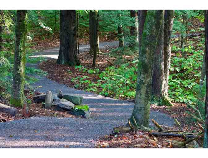 Guided Tour of Distant Hill Gardens and Nature Trail, Walpole, NH