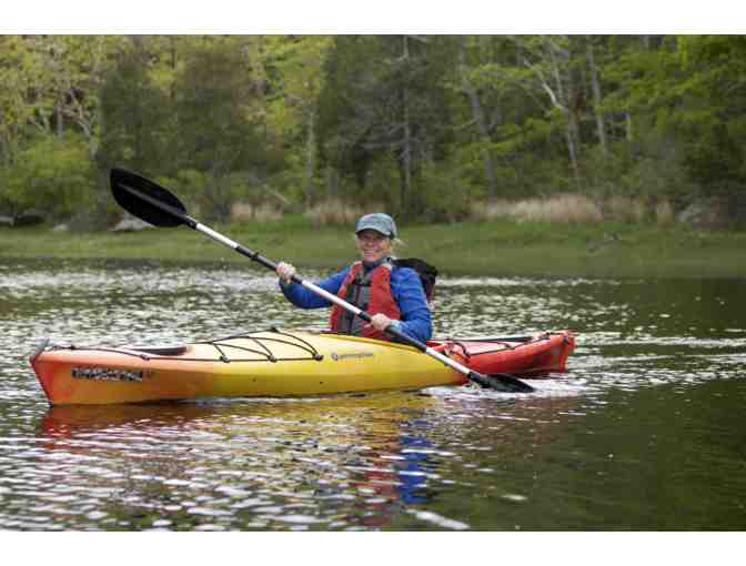 2 Wildlife Kayak Tour Tickets - Photo 1