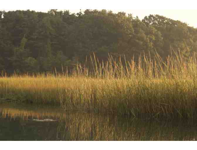 2 Wildlife Kayak Tour Tickets - Photo 5
