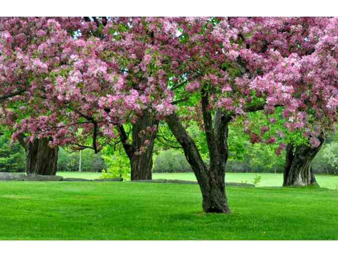 Tour of Bill Noble's garden and a signed copy of his book: Spirit of Place