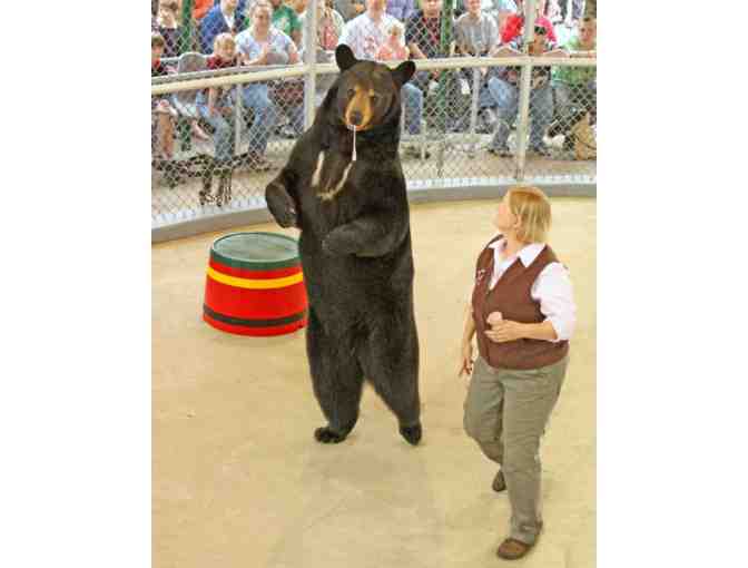 Pass for 2 people to Clark's Bears, Lincoln, NH