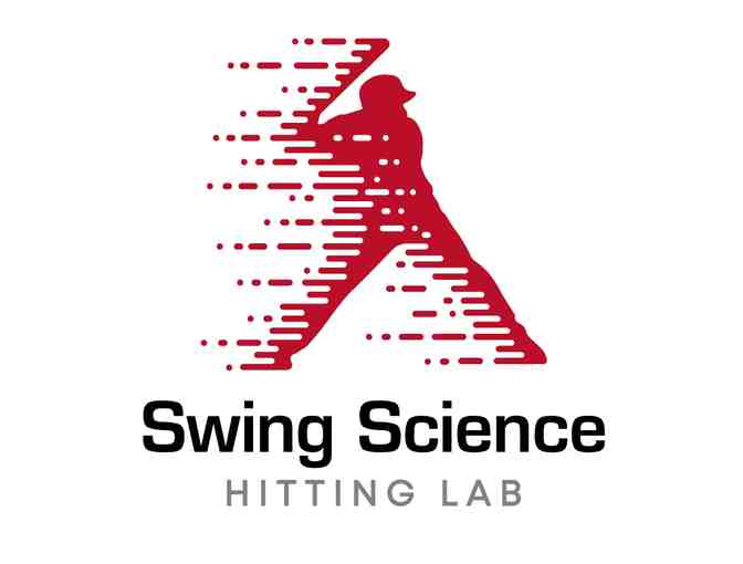 30 Minute Baseline Swing Analysis - Photo 1