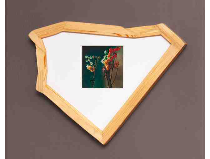 Finding the Light by Jamie Kronick