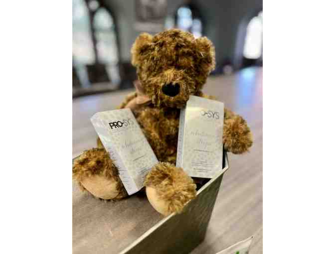 Benco Dental Gift Basket