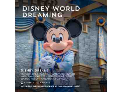 Disney World Dreaming