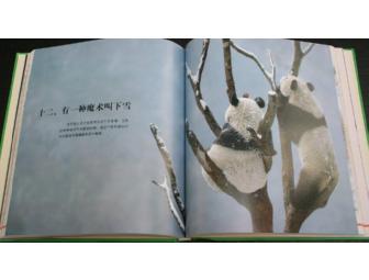 Love Panda Book