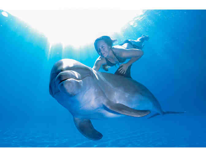 Dolphin Signature swim at Dolphin Discovery for 2 persons (cert.1)