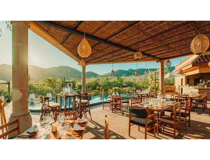 Brunch for two at Torote Restaurant, Cabo San Lucas (cert.2)