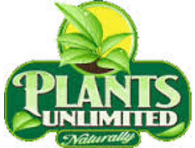 Plants Unlimited $50 Gift Certificate #2