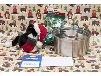 SANTA NEVER FORGETS THE CAT! WITH GIFT CARD